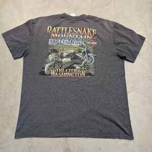Harley-Davidson Rattlesnake Mountain Shirt Men's XL-2XL? Gray